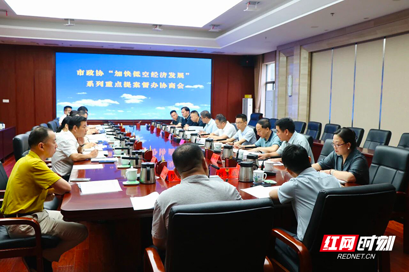 6月19日,市政协主席聂方红督办“加快低空经济发展”系列重点提案。.jpg 图片