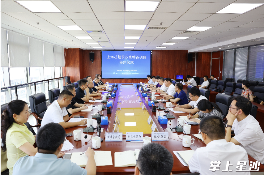 签约仪式现场。均为曾诗怡 摄 签约仪式现场。均为曾诗怡 摄