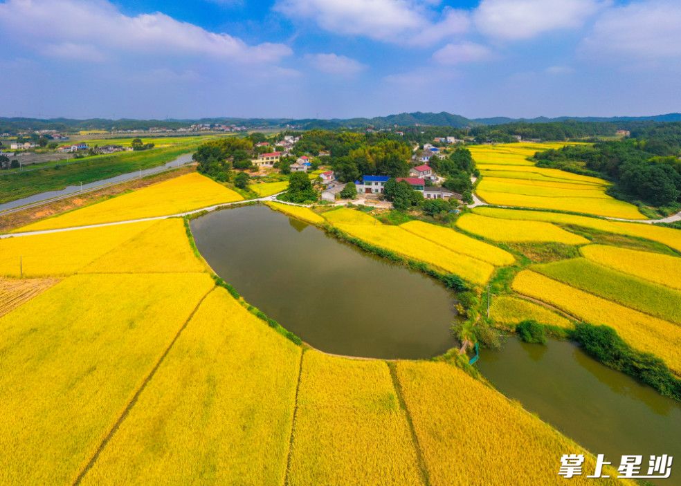 ������������ɳ����������ũҵ���չ�������Ͷ��2000����Ԫ����Ч�����˷����ֺ���ȫ��ũҵ������������в����Ϊ����ͼƬ