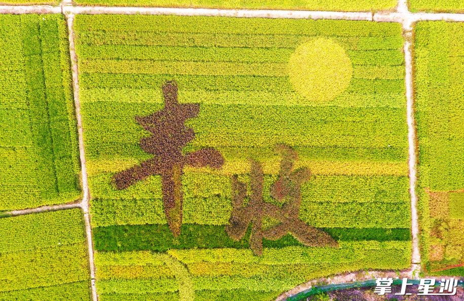 Ϊũ��ź�������ũҵ������ѡ�����ɡ�����Ǵٽ�ũҵ��������չ������������˵ı�Ҫ�ٴ롣