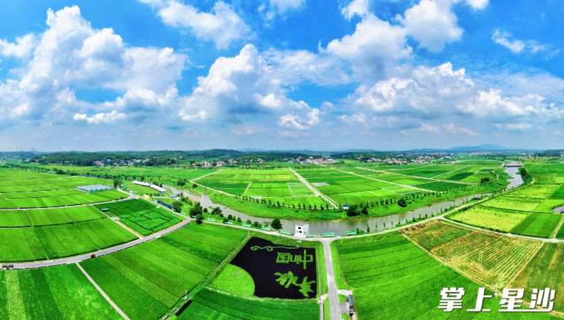 Ŀǰ����ɳ��ũҵ����������11�����ܻ�������ũҵ������Ӫ������