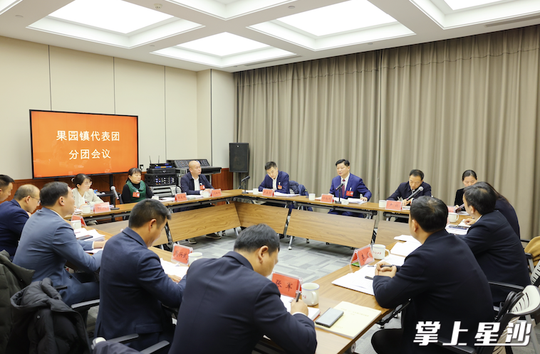 会议现场。均为曾诗怡 摄 会议现场。均为曾诗怡 摄