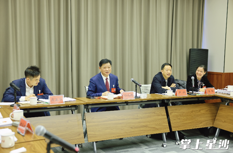 付旭明讲话。 付旭明讲话。