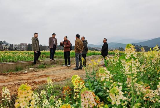 fb33fe77482b62b09170d44661425e9