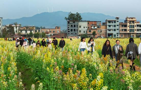 ff58153be9450ba5ad679d76e8399c3