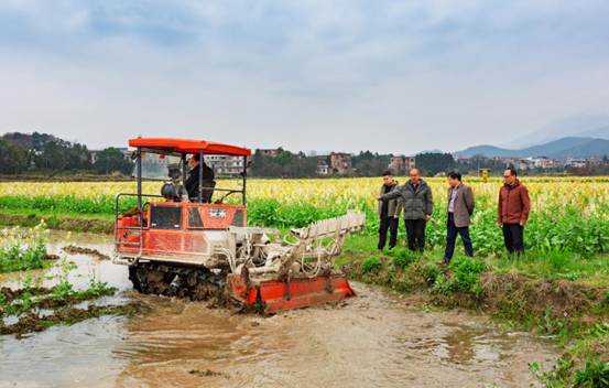 cf835669660a8662b45f0a179953920